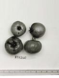 Click for 1 image(s) for this accession. FRUIT